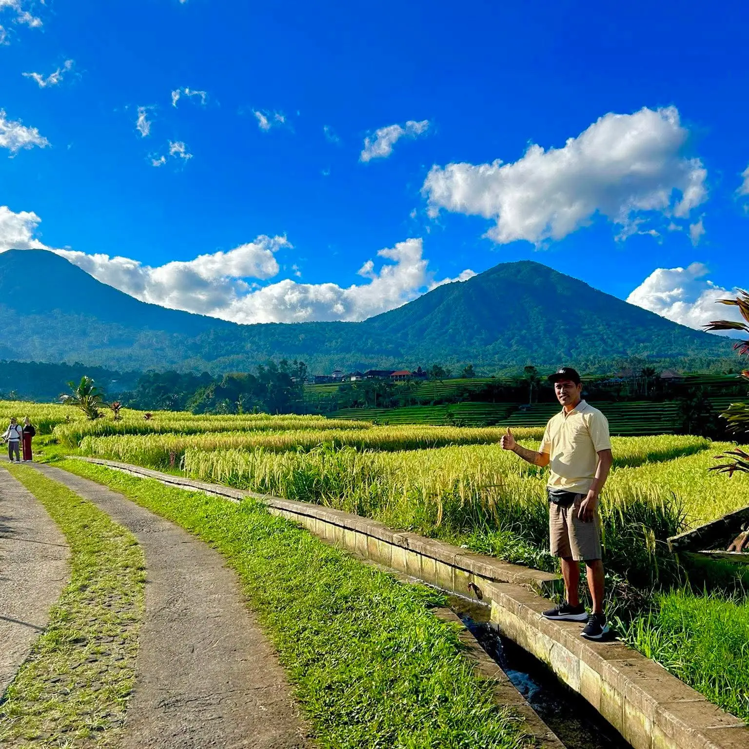 Pramana Bali Driver - Professional Private Driver in Bali with comfortable car